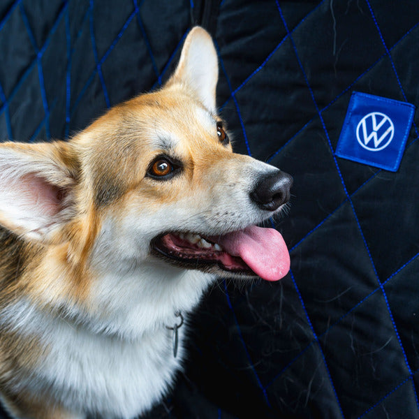 Dog Seat Cover